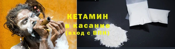 шишки Абаза