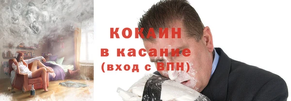 шишки Абаза