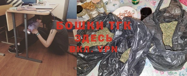 шишки Абаза
