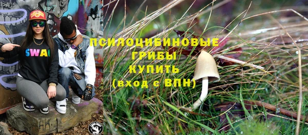 шишки Абаза