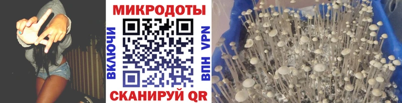 где можно купить наркотик  Кимовск  Псилоцибиновые грибы ЛСД 