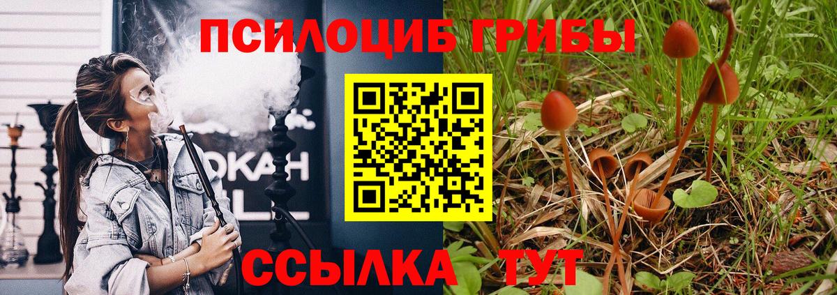 Галлюциногенные грибы прущие грибы Кимовск